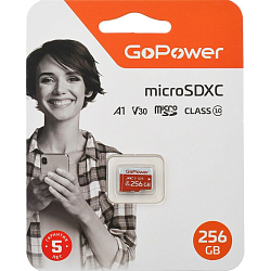 Micro SD 256Gb GoPower Class10 UHS-I (U3) 100Mb/s V30 без адаптера