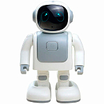 Робот танцующий Kid Joy Dance Robot Robert (RS01) Global, серый