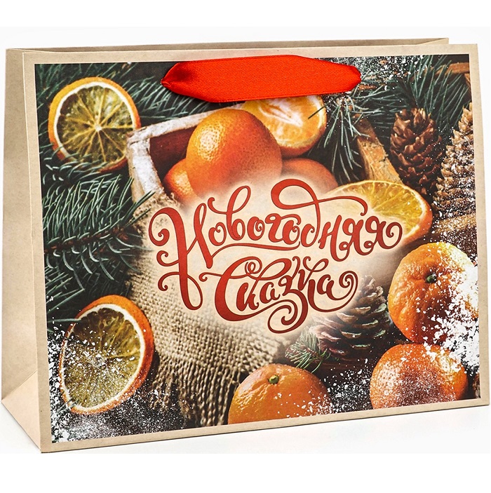 Пакет «Новогодняя сказка», 24×20×11 см 10612702