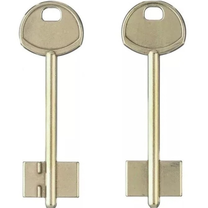 Заготовка ключа Гардиан-1 82*22,4*14,4 мм, лат., б/п