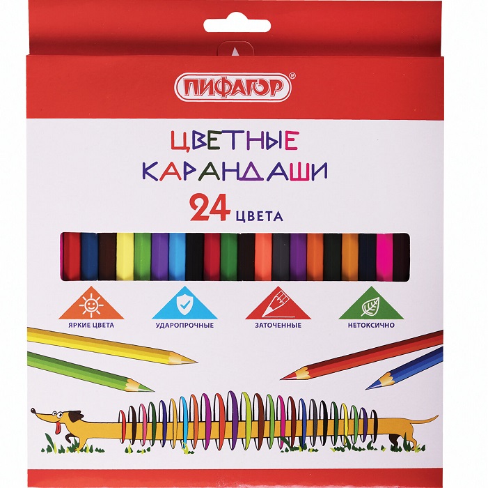 Карандаши цветные ПИФАГОР "Веселая такса", 24 цвета, шестигранные, натуральное дерево, 181808