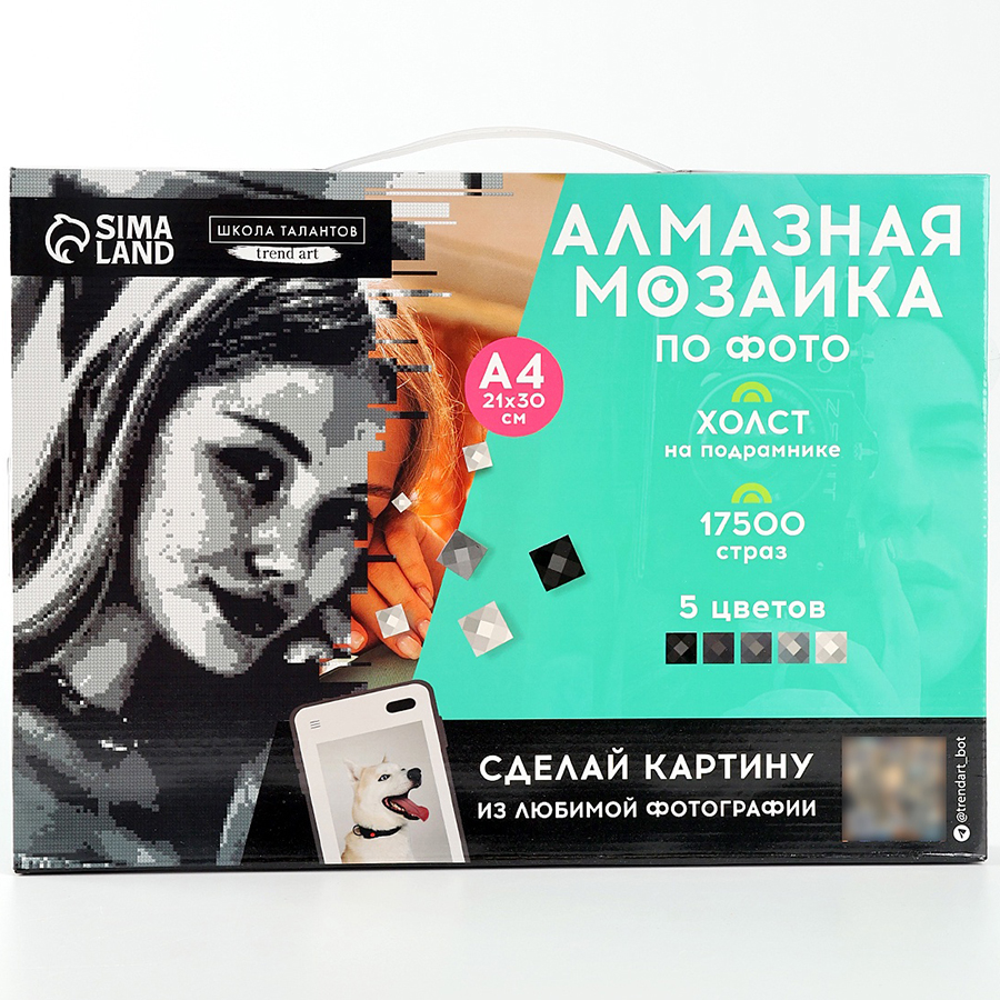 Алмазная мозаика по фото с полным заполнением «Gray», на холсте с подрамником, А4
