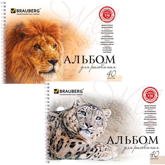 Альбом д/рис. BRAUBERG Благородные кошки 40л., 205х290мм,  МИКС102831