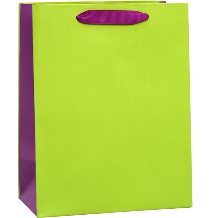 Пакет «Салатовый-сиреневый», MS 18×23×10 см 9612656