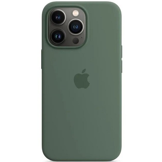 Силиконовый чехол SILICONE CASE для iPhone 13 Eucalyptus (MagSafe + анимация NFC) c LOGO