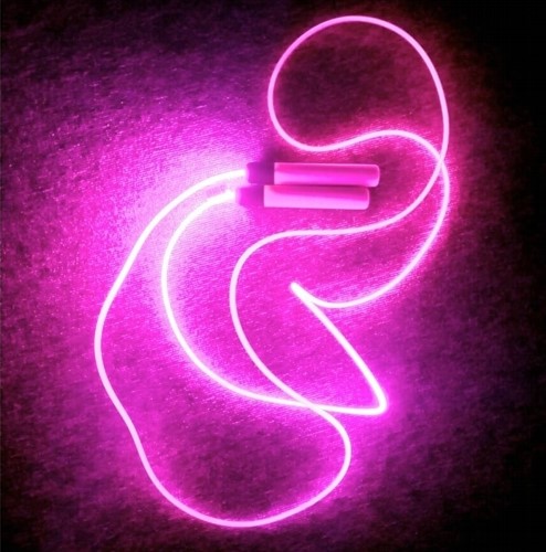 Скакалка гимнастическая CAMELION J2LED (со световым эффектом, красная)