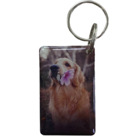 Ключ для домофона "Лабрадор"