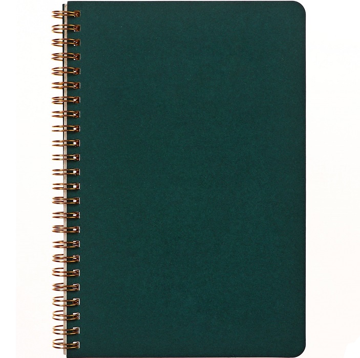 Бизнес-тетрадь А5, 60 листов в клетку Pragmatic 80г/м2, зелёный