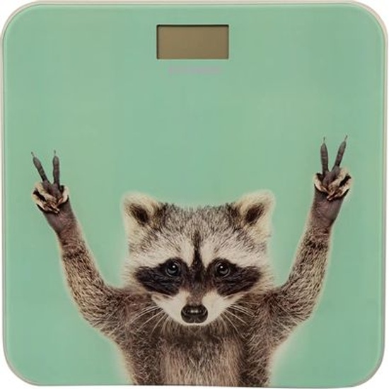 Весы HYUNDAI H-BS03589 мятный макс. 180 кг,