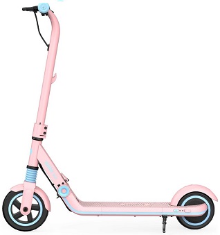 Электросамокат Ninebot eKickScooter Zing E8 pink