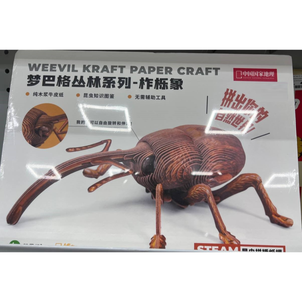 Пазл-3D трехмерная головоломка-модель насекомого Желудевый долгоносик