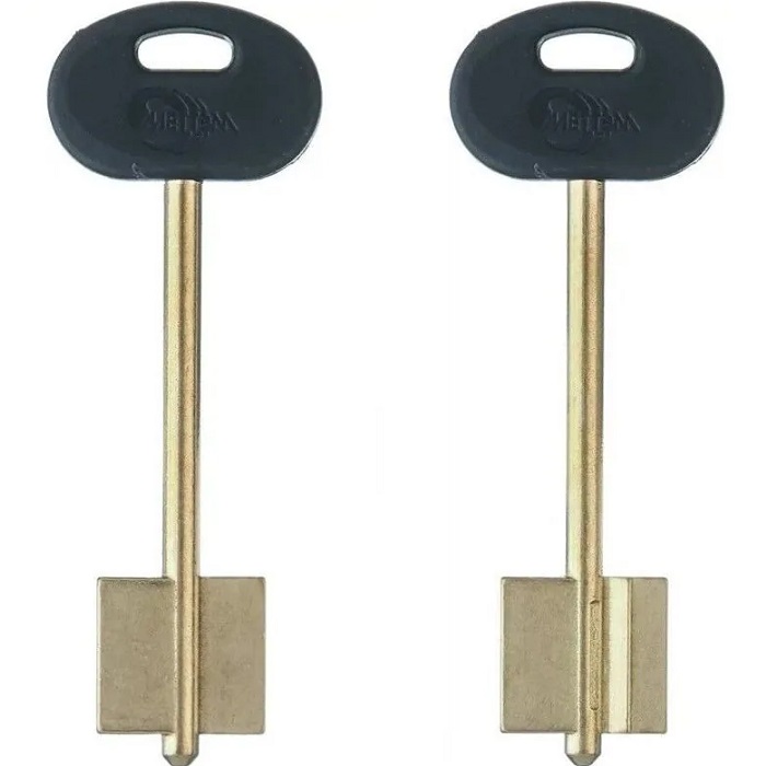 Заготовка ключа Меттэм-19 98*21,4*20,05 мм, лат., с пластиком, б/п