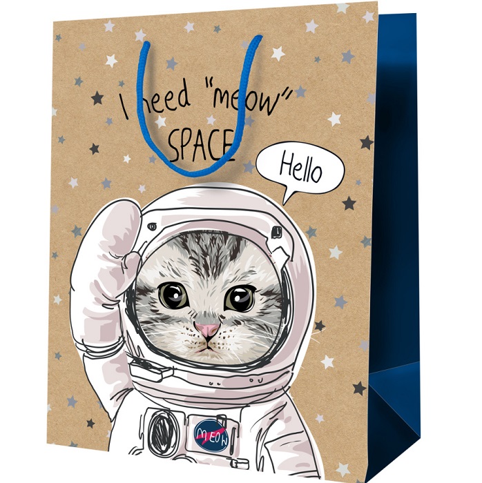 Пакет подарочный 18*23*10см MESHU "Космический кот", крафт MS_52241