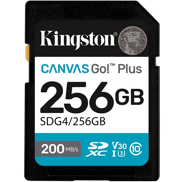 SD 256Gb Kingston Class 10 UHS-I U3 V30 Canvas Go Plus G4 200R V30