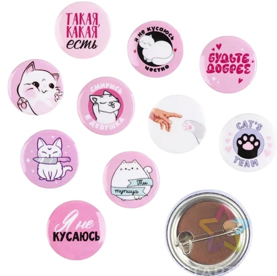 Значок металлический , закатной «Смирись я девушка», 25 мм, МИКС 9240168