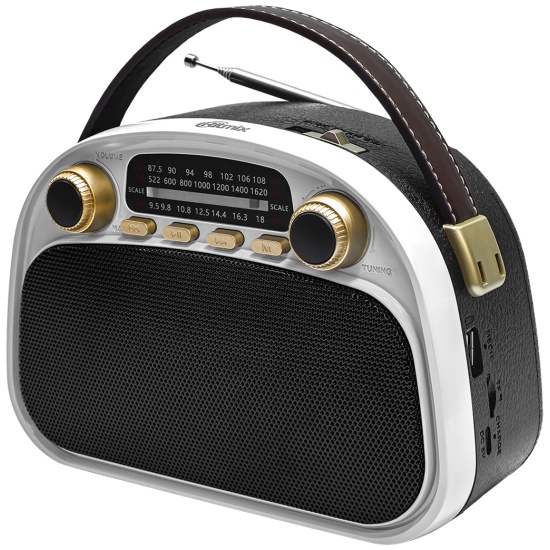 Радиоприемник RITMIX RPR-040 WHITE