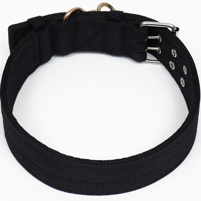 Ошейник четырехслойный с вертлюгом, 80 х 4,9 см, ОШ 64-74 см, полиэстер, чёрный