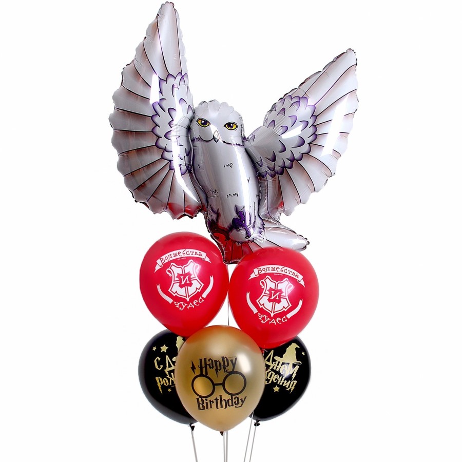 Набор шаров "Сова", в наборе 6 шт. 9623289