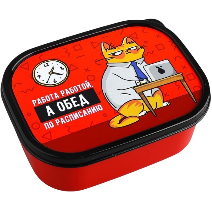 Ланч - бокс прямоугольный «Обед по расписанию», 500 мл 4569126