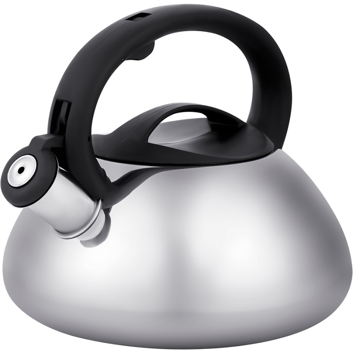 Чайник со свистком REGENT TEA 86-102, 3л