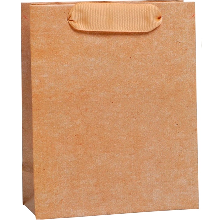 Пакет «Крафтовый», MS 18 х 23 х 10 см 7304166