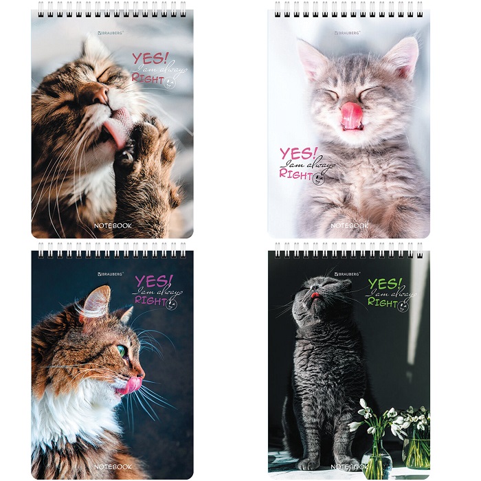 Блокнот А5 146х206мм, 80л, гребень, картон, клетка, BRAUBERG, Довольные коты, 114374