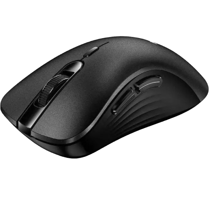 Мышь БП GENIUS Ergo 8100S черный (31030040400)