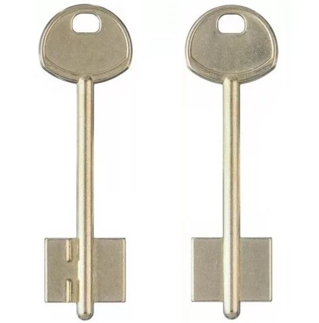 Заготовка ключа Гардиан-2 85*22,4*17,7 мм, лат., б/п