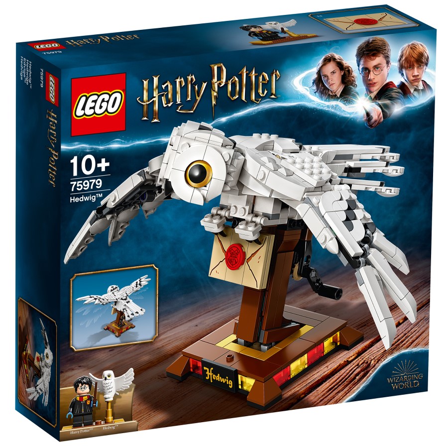 Конструктор LEGO Harry Potter 75979 Букля