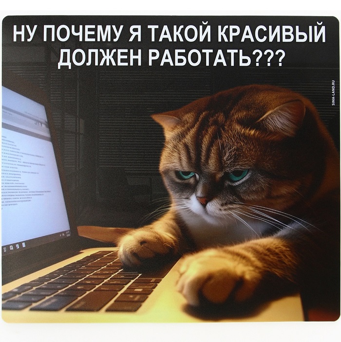 Коврик NONAME «Красивые тоже работают», 22×20 см