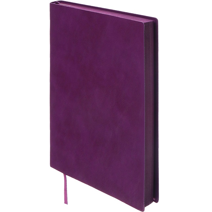 Ежедневник недатированный А5, 160 листов, ESCALADA тонированный блок 70 г/м2, фиолетовый