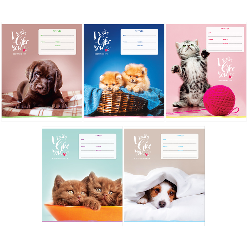 Тетрадь  12л. косая линия ArtSpace "Питомцы. I really like", ВД-лак Т12нл_22922