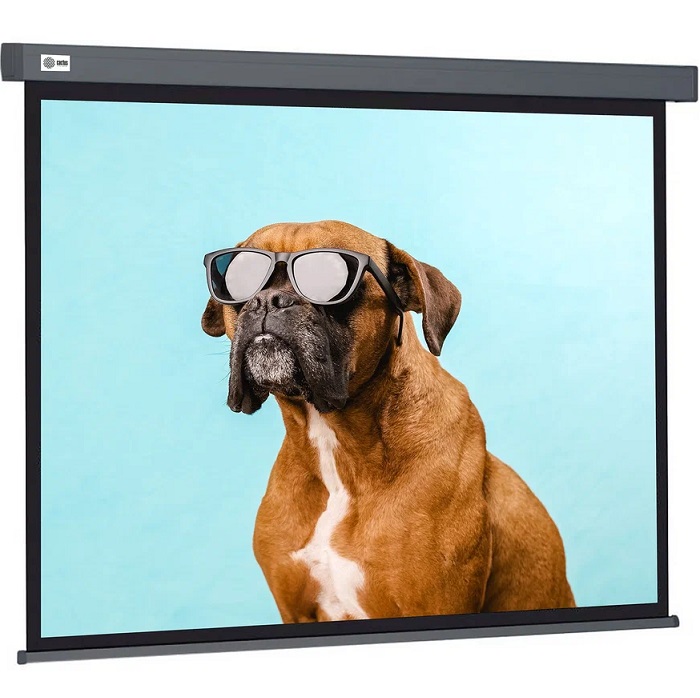 Экран Cactus 149.4x265.7см Wallscreen CS-PSW-149X265-BK 16:9 настенно-потолочный рулонный черный