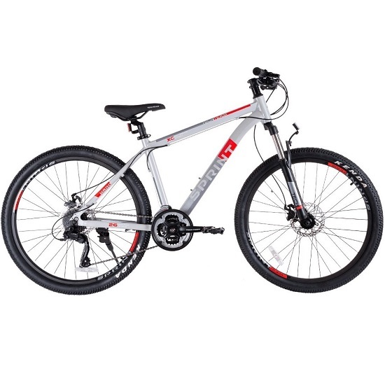 Велосипед TECH TEAM Sprint 26"х20" серый 2022