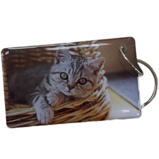 Ключ для домофона "Котик в корзинке"