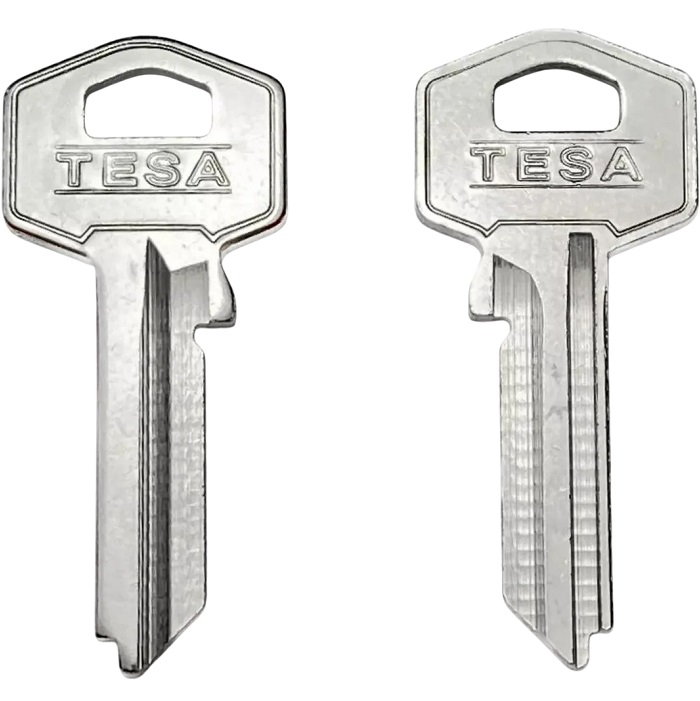 Заготовка ключа TE-8I_TE2_TSA22_TS9R_TES5_TESA КНР