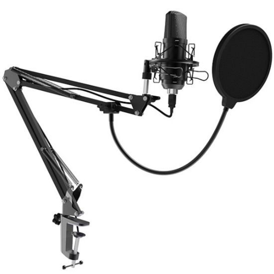 Микрофон RITMIX RDM-169 Black