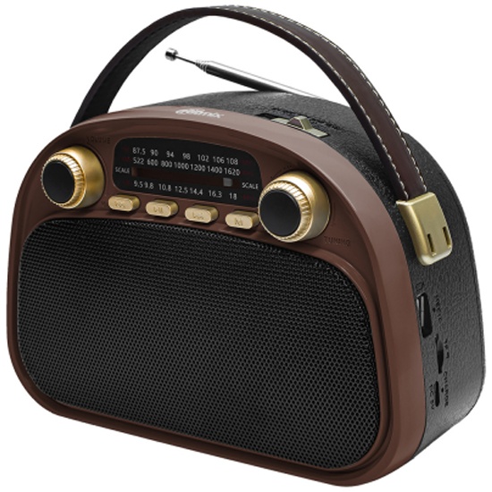 Радиоприёмник RITMIX RPR-040 CHOCOLATE