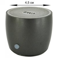 Колонка портативная EWA A103 (черная)