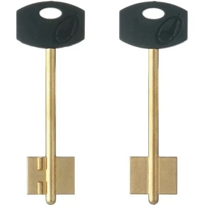 Заготовка ключа НПО-МАШ-2 93*22*17,4 мм, лат., с пластиком, б/п