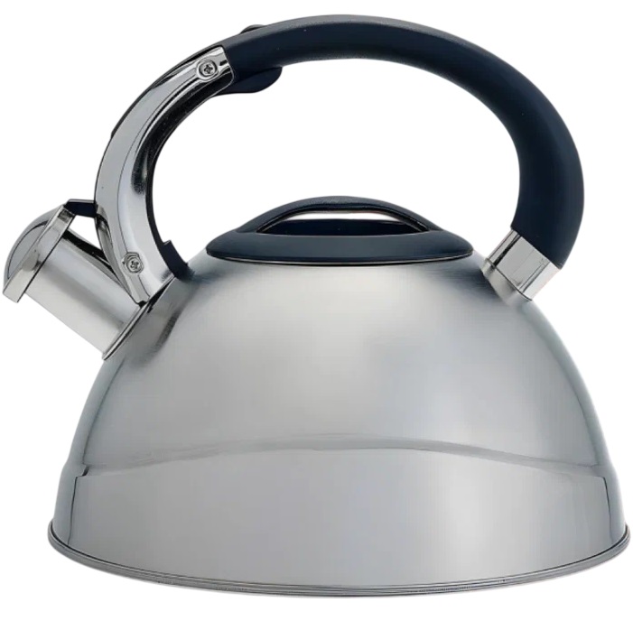 Чайник со свистком 3,0 л Alpenkok AK-531 из нержавеющей стали капсулированное дно