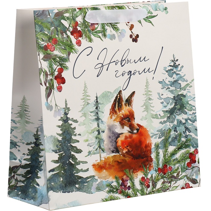 Пакет квадратный Forest, 30×30×12 см