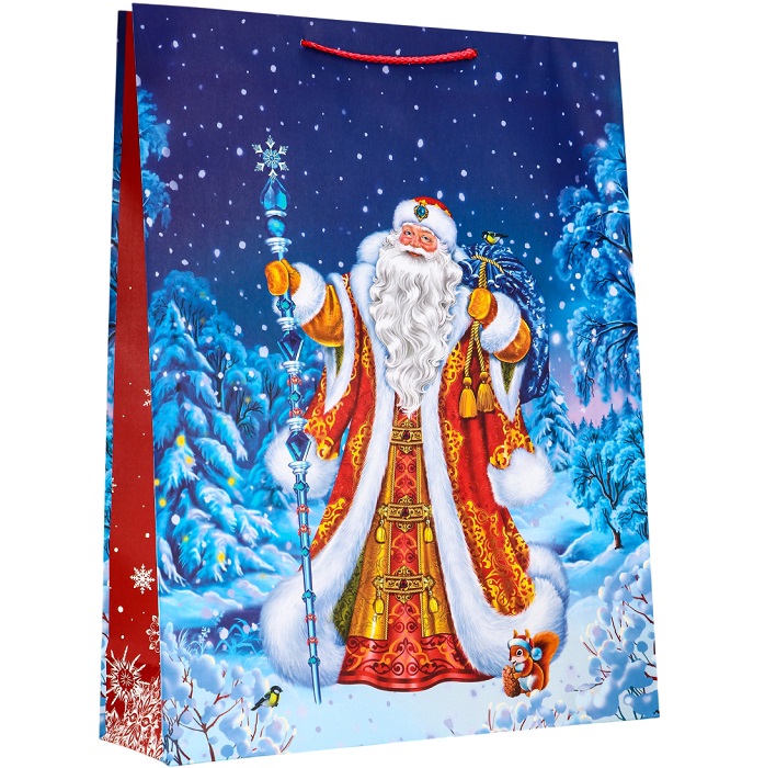 Пакет «Дед Мороз», 33×10×42.5 см 10911834
