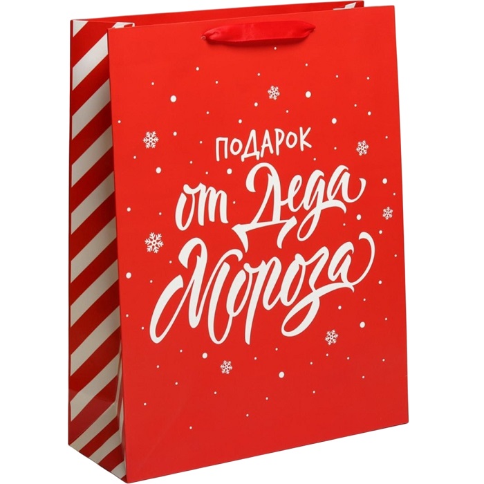 Пакет «Подарок от Деда Мороза», L 31×40×11.5 см