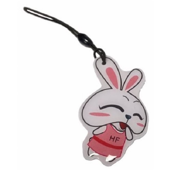 Ключ для домофона "Зайка"