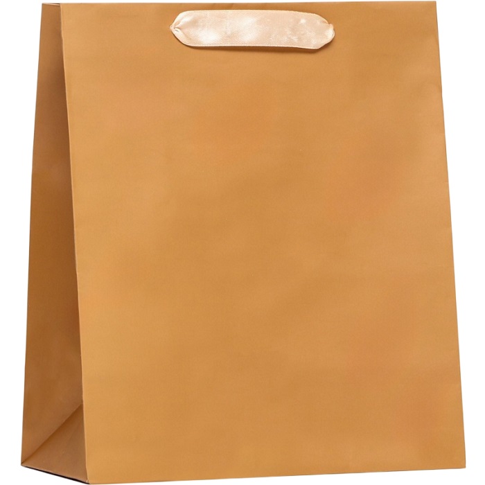 Пакет «Коричневый», 23 х 27 х 11.5 см 9494163