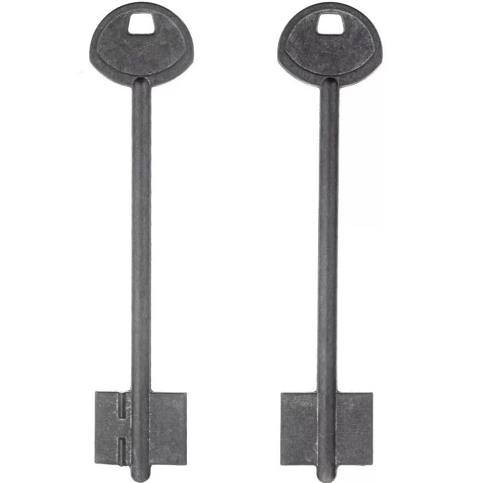 Заготовка ключа Гардиан-4 118*22,4*17,7 мм, лат., б/п