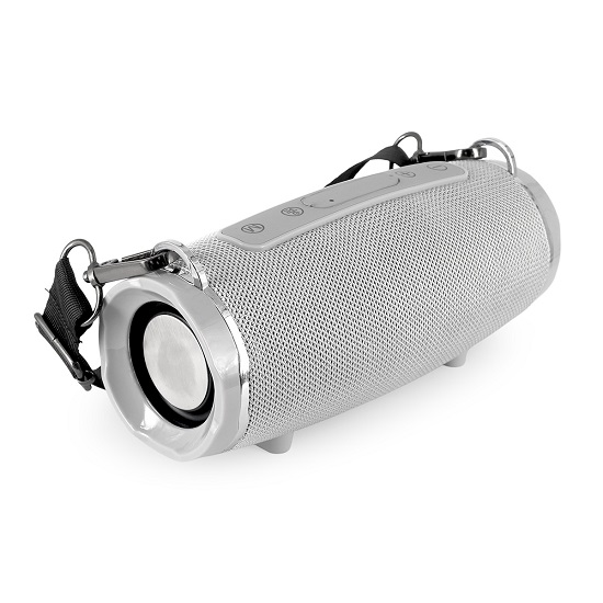 Колонка портативная FUMIKO TECHNO серая