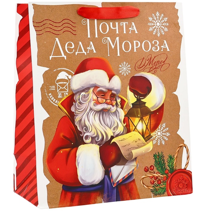 Пакет «Почта Деда Мороза», M 26×30×9 см