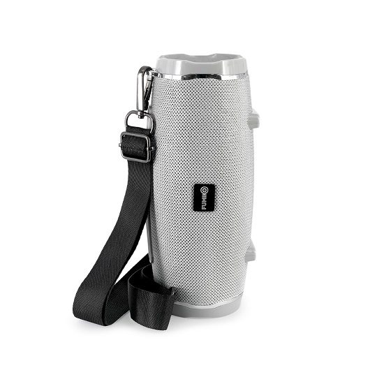 Колонка портативная FUMIKO TECHNO серая